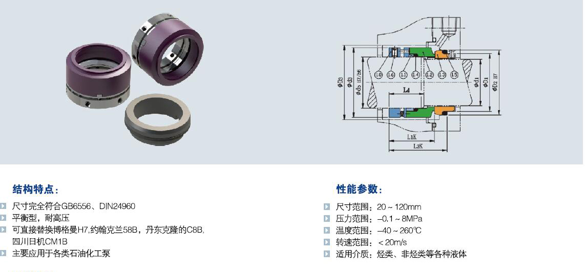 t21多弹簧机械密封.jpg